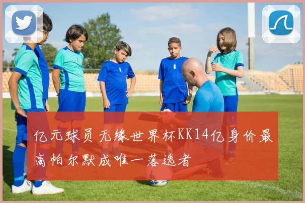 亿元球员无缘世界杯KK14亿身价最高帕尔默成唯一落选者