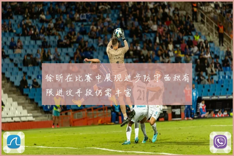 徐昕在比赛中展现进步防守面积有限进攻手段仍需丰富